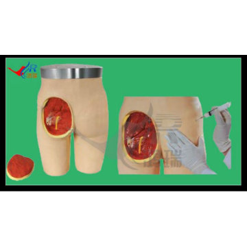 HR/HS10C Advanced buttocks intramuscular injection simulator, buttocks injection model